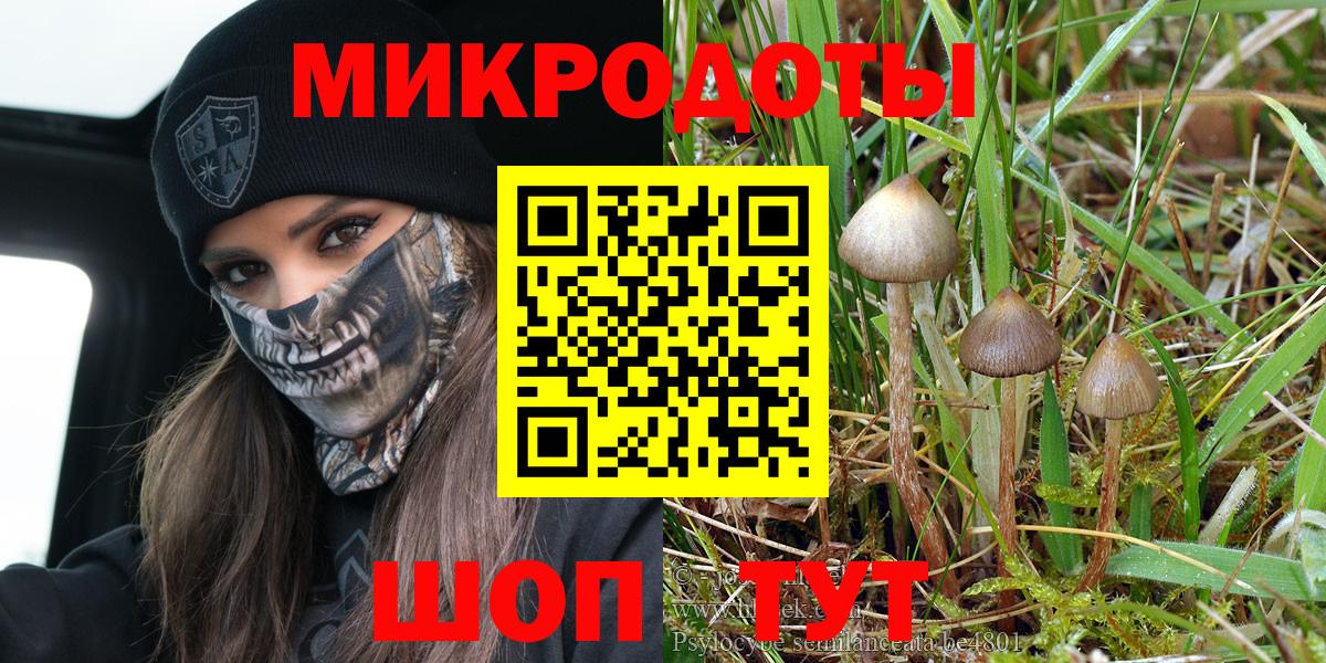 Галлюциногенные грибы Psilocybe  Вход с VPN  Иркутск 